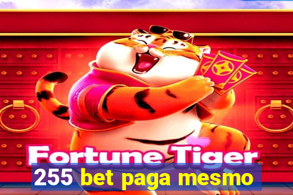 255 bet paga mesmo